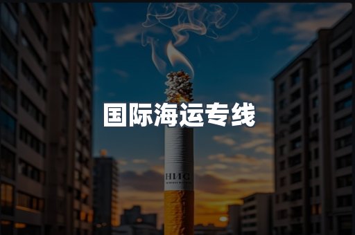 国际海运专线